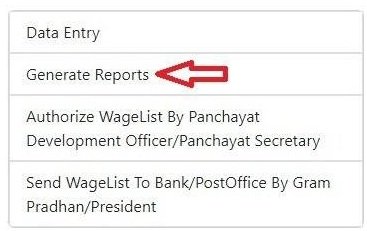 Generate Reports