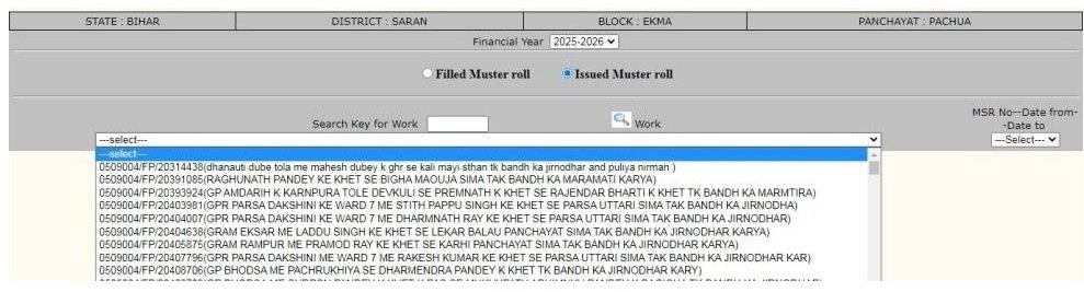पंचायत की Muster roll