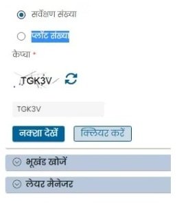 सर्वेक्षण संख्या या प्लॉट संख्या